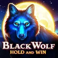 Black Wolf screenshot